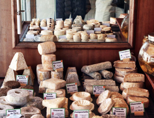Top Italian Cheeses Loved and Used By Many